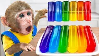 KiKi Monkey eat Tasty Rainbow Jelly Decorating with ASMR Mukbang sound with Puppy | KUDO ANIMAL KIKI