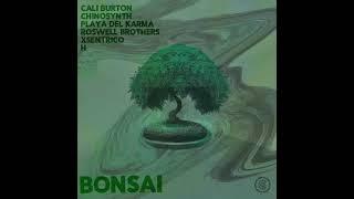 Cali Burton -  Bonsái [Golden Soul Records]