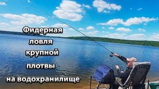 Ловля крупной плотвы на фидер.