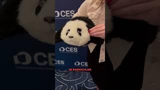 Robotic Panda Cub Debuts at CES 2025