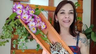 COMO PLANTAR ORQUÍDEA NA TELHA DE BARRO?