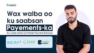 Wax Walba Oo Ku Saabsan Online Payments Iyo Local Payments | Zaad, Sahal ,Evc Iyo Premier Wallet