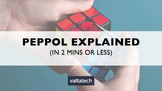 Peppol explained in 2mins or less