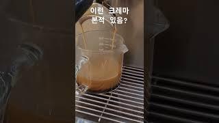 크레마 진짜 풍부한 에스프레소