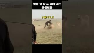 몽골인들이 말을 길들이는 방법