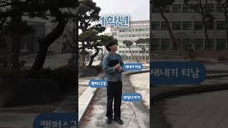 청대생 학년별 특