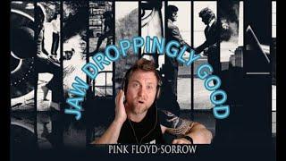 Pink Floyd - Sorrow Live 1994 - First Time Reaction