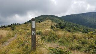 Section hike Carver's gap to 19E on the Appalachian trail