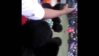 nandail mbahadurpur high school