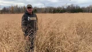 No-till Switchgrass Establishment Done Easy with Ron Toonders