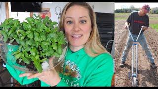  Starting Zinnias in Soil Blocks :‍Direct Sowing Zinnia with Sunflower Steve: Flower Hill Farm