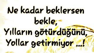 Ne kadar beklersen bekle, Yılların götürdüğünü, Yollar getirmiyor  Anlamlı Güzel  Sözler