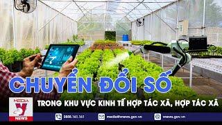 Chuyển đổi số trong khu vực kinh tế hợp tác, hợp tác xã - VNEWS