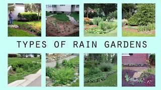 Rain Gardens 101, Part Two: Types of Rain Gardens