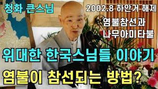 염불이 참선이 되는 방법 염불참선과 나무아미타불 | 위대한 한국의 스님들 이야기 |청화스님 법문 20020823 성륜사 하안거해제