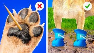  Life of Rich vs Poor Pets! Viral TikTok Gadgets & DIY Hacks for Furry Friends 