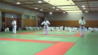 WORLD SOKYOKUSHIN Official Exam 2013　No.3 KATA