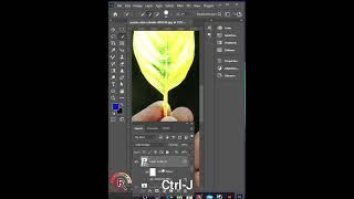 Glowing butterer photo editing photoshop 2022#glowing #rasel #photo_edit