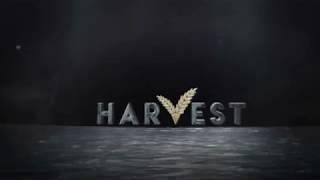 2019 Harvest 홍보영상 2차