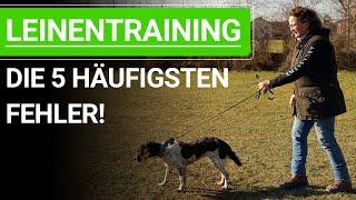  Vermeide diese 5 häufigsten Fehler beim Hunde Leinentraining! ️ Praxisvideo ️