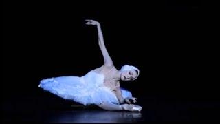 Ulyana Lopatkina :The Dying Swan  - Solo Cello: Borislav Strulev