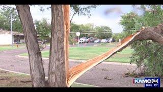 Severe weather rips through Lubbock, downing trees and flooding roads