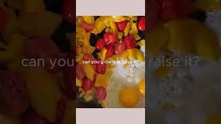 Let's get back to eating real food