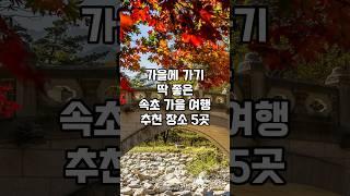 가을에 무조건 가야하는 강원도 속초 여행 추천 장소 5곳 #속초여행 #가을여행지추천