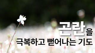 곤란을 극복하고 뻗어나는 기도 | 영성을 깨우는 명상 | 한국교문사