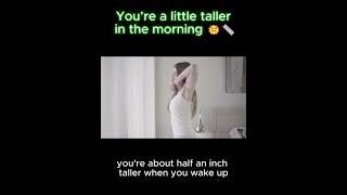 You’re a little taller in the morning #humanbody #facts  #funfacts