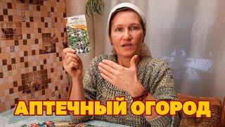 ЧТОБ ЗДОРОВЬЕ СОХРАНИТЬ НУЖНО ЛЕТОМ ПОСАДИТЬ ЛЕКАРСТВЕННЫЕ РАСТЕНИЯ  @natureMarusya