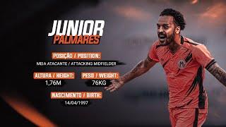 Júnior Palmares - Attacking Midfielder - 2024