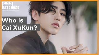 Who is Cai Xukun | 蔡徐坤 | Cai Xukun Idol Producer | Chinese Singer | Chinese Mainstream Celebrity