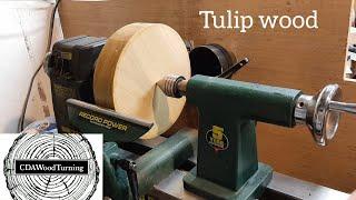 WoodTurning | Tulip Wood | Jo Sonja's | Iridescent Paints