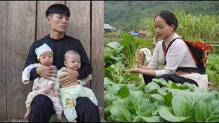 Harvest vegetables to sell at the market, save money to raise an abandoned child and a young son