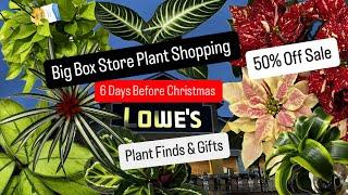 Big Box Store Plant Shopping Christmas Shopping Houseplants Sale 50% Off Plants Plant Haul Easy