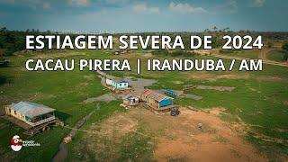 ESTIAGEM DE 2024 - CACAU PIRERA | IRANDUBA / AMAZONAS #estiagem #cacaupirera #amazonas #iranduba