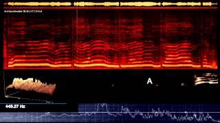 A Hybrid Child's Heart Activating Tones - Ya'uaney, Yahyel