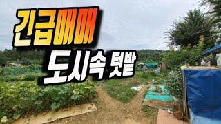 [급매물2-824] 긴급매매 도시속 텃밭, 인천지하철 2호선 남동구청역 근거리, 편리한 교통, 인천대공원 근거리, 개발대비 투자용 적극 추천!! 최저가, 시세이하, 반값부동산