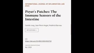 Peyers Patches: The Immune Sensors of the Intestine | RTCL.TV