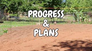 Garden Update Early May In North Carolina #prepping #garden