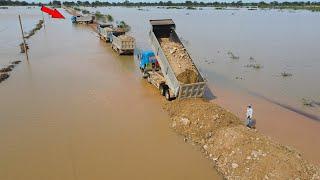 Nice Updating Using Bulldozer and Huge Dump Truck Working Building Road Long Crossing Flood