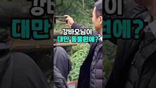 강바오님이 대만동물원에?