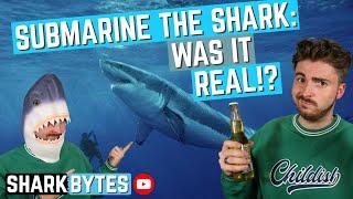 Submarine The Shark: WAS IT REAL!?