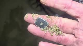 Beach metal detecting you never know where you’re going to find your treasure