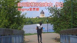 SUV自改房车｜带猫自驾游横穿加拿大（五）女权之城Regina里贾娜｜Crossing Canada with a Cat - Toronto to Vancouver