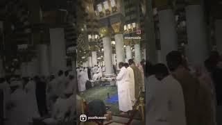 masjid nabwi ️ #shorts #makkah