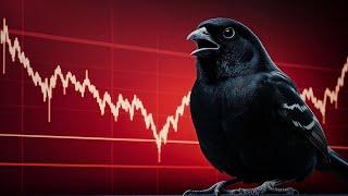 HUGE MARKET WARNING SIGN - BLACK CANARY