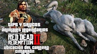 Red Dead Redemption II | Tips & Trucos | Animales Legendarios | Carnero Cimarrón