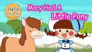Mary Had A Little Pony｜瑪莉有隻小小馬｜哈囉球球 Hello ChuChu ! kids' channel【兒童歌曲】｜ChuChu Kids' Song